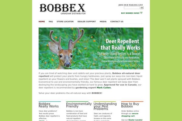 BigFeature theme site design template sample