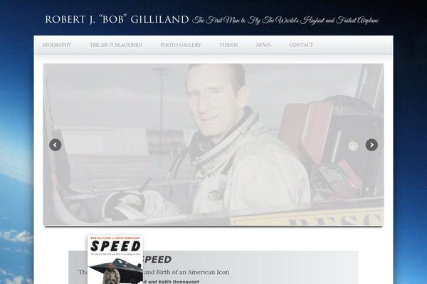 Candidate theme site design template sample