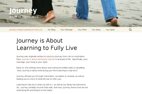 picolight theme site design template sample