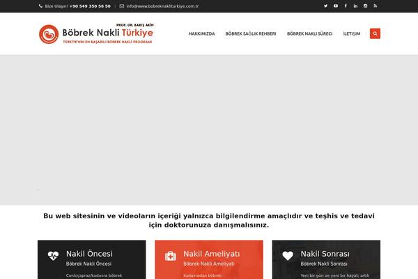 Apicona theme site design template sample