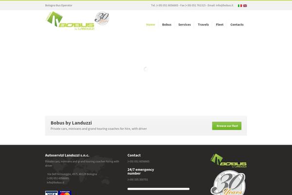 Robust theme site design template sample