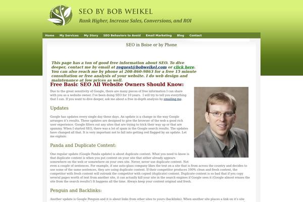 Studioblue theme site design template sample