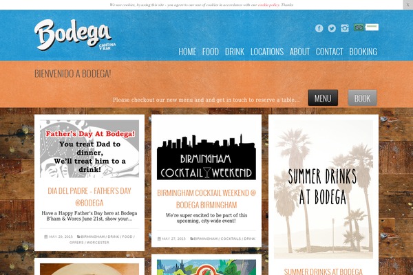 Wpex Fashionista theme site design template sample