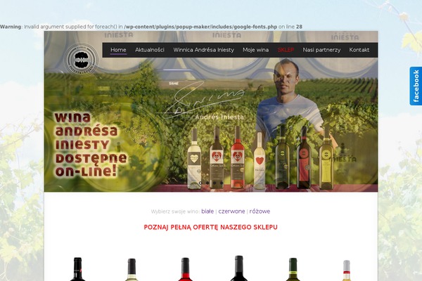 bodegainiesta.pl site used Thevineyard