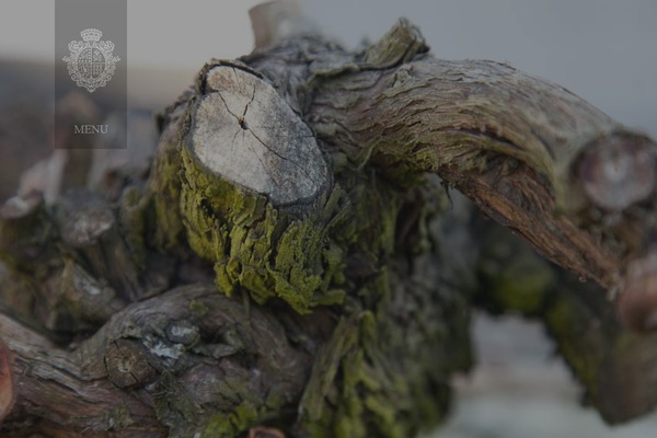 Village theme site design template sample
