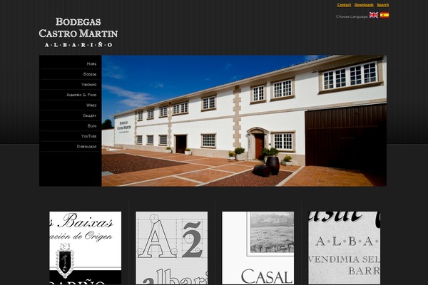 bodegascastromartin.com site used Castro