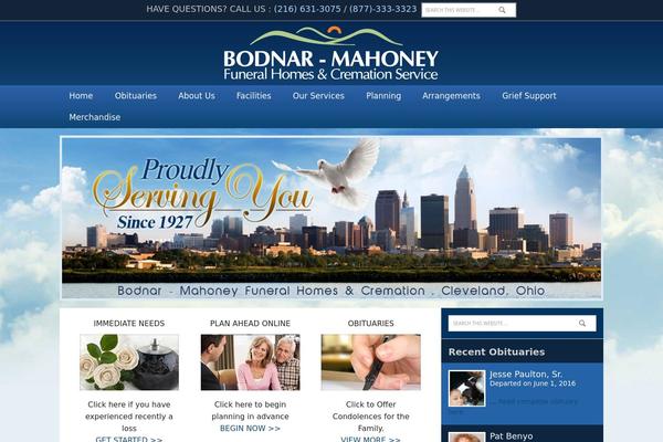 Executive Pro Theme theme site design template sample