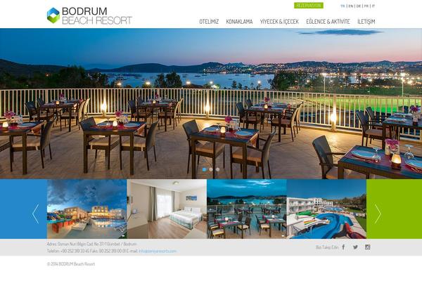 Circles theme site design template sample