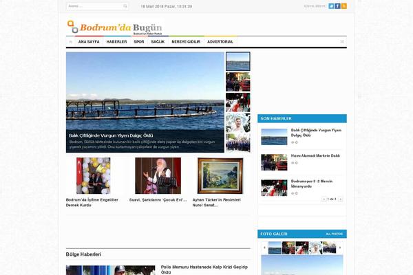 PrimeTime theme site design template sample