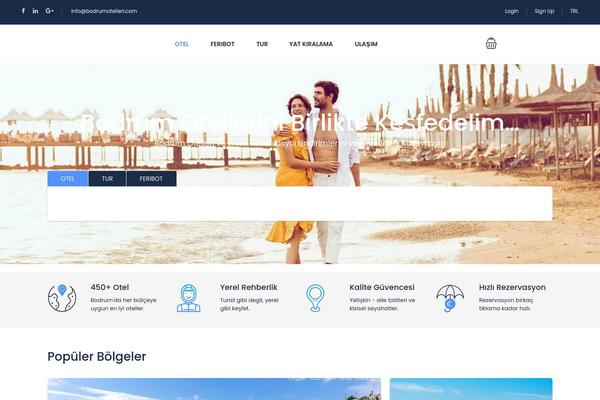 Traveler theme site design template sample