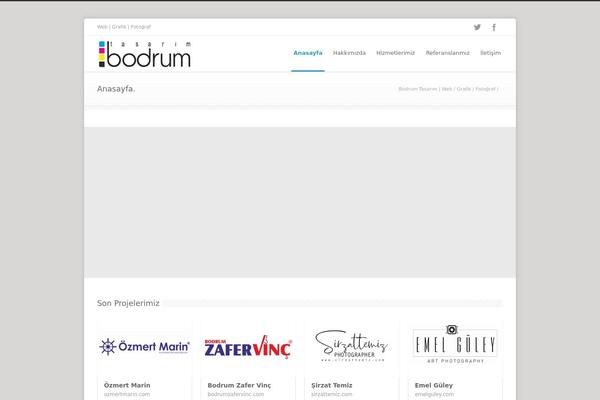 Site using Burst-statistics plugin