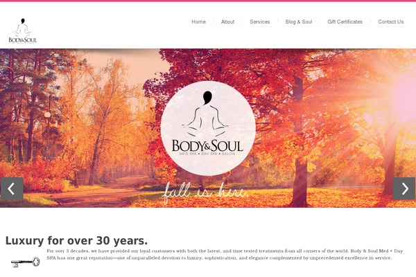 Dictate theme site design template sample