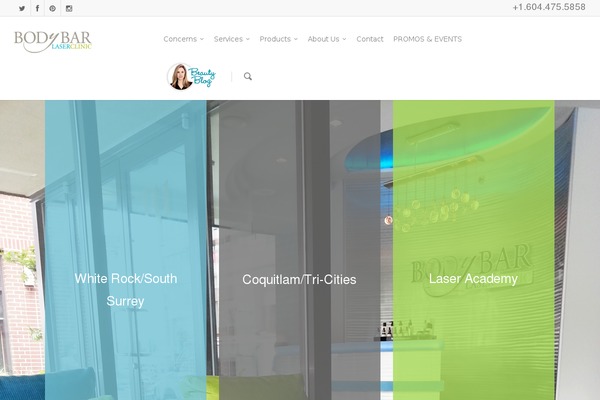 Salient theme site design template sample
