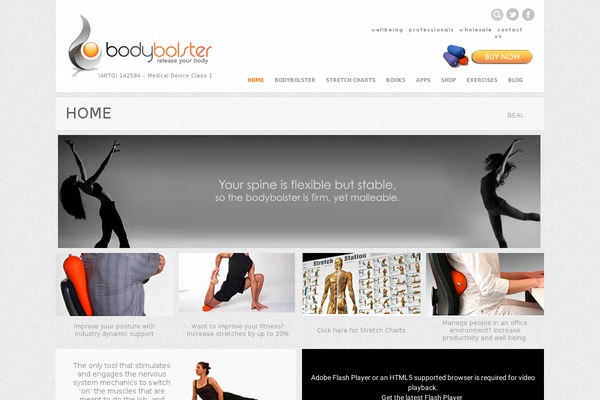Fullscene theme site design template sample
