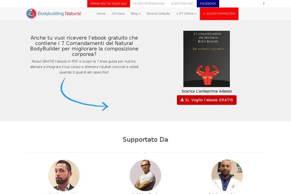 Metro Pro theme site design template sample