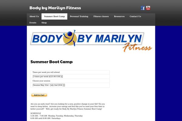 zeeSynergie theme site design template sample