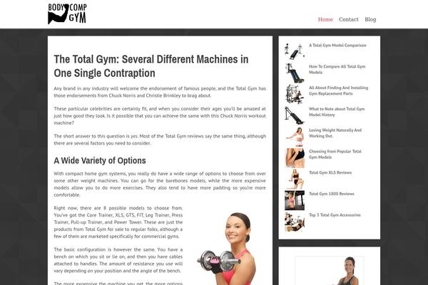 Focusblog theme site design template sample