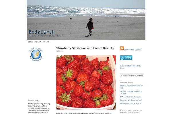 Site using BNS Add Widget plugin