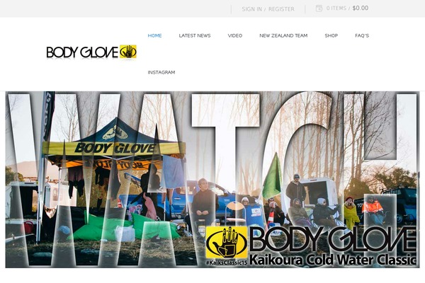 The Leader theme site design template sample