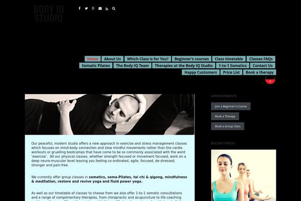 Ultra theme site design template sample