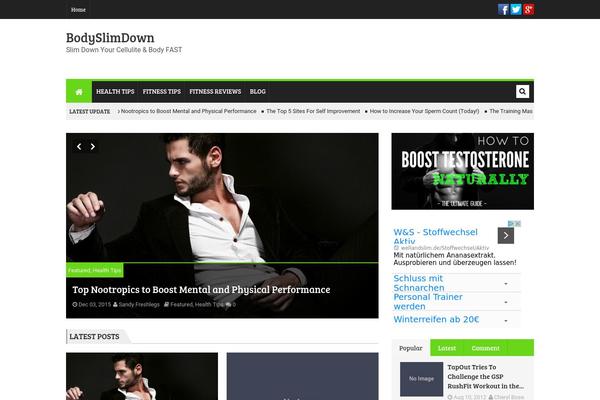 Megnet theme site design template sample