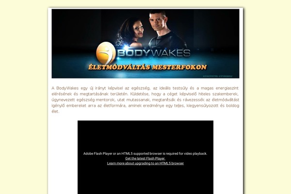 Site using Pagination by BestWebSoft plugin