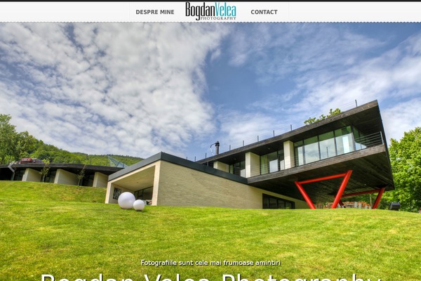 TopPic theme site design template sample