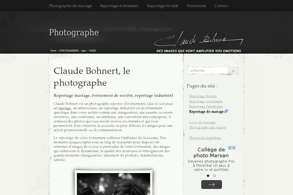 Signify theme site design template sample