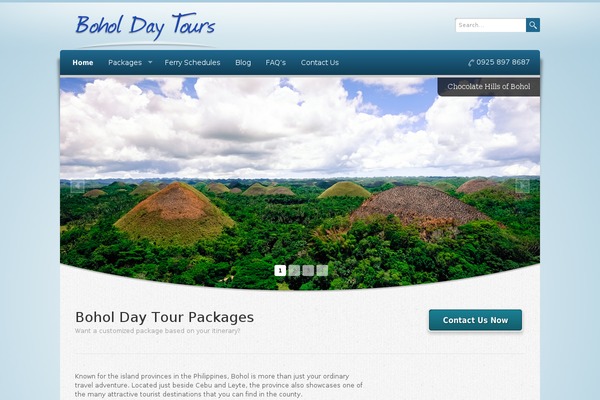 boholdaytours.com site used Bdt