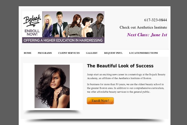 Local Business theme site design template sample