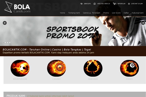 Arche theme site design template sample