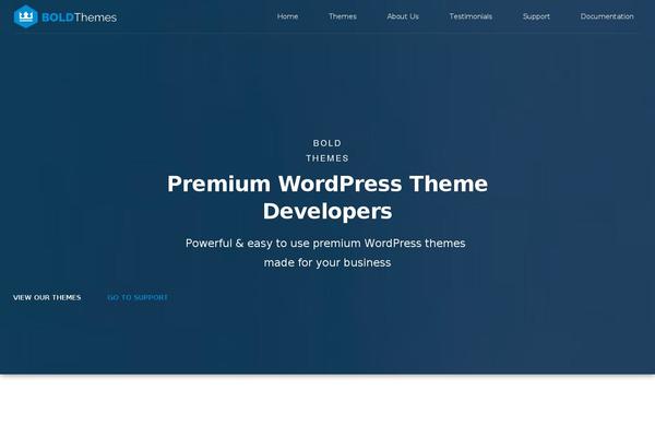 Finance theme site design template sample
