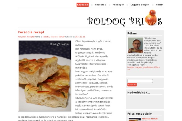 Food and Diet theme site design template sample