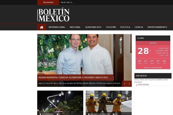 Bzine theme site design template sample