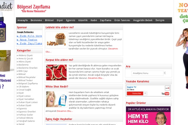 Wpt theme site design template sample
