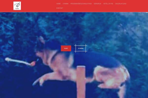 Site using Bubble SEO plugin