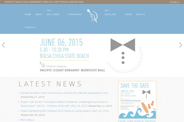 Elevationweb theme site design template sample