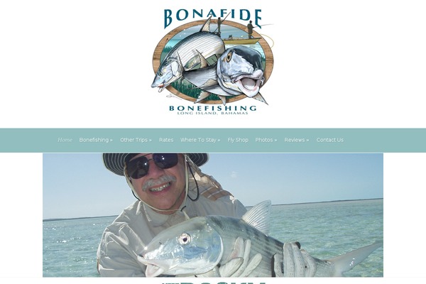 Evolution theme site design template sample