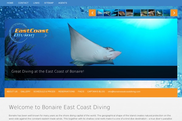 Memorable theme site design template sample