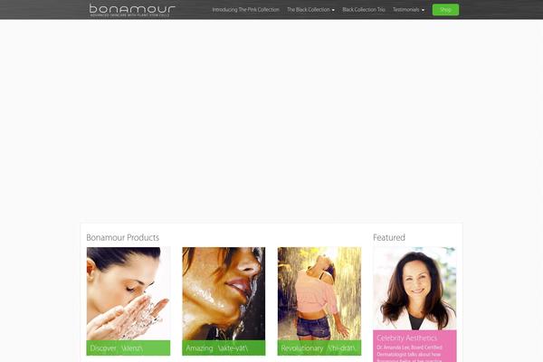 Site using All In One Schema.org Rich Snippets plugin