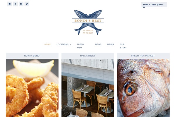 Mediso theme site design template sample