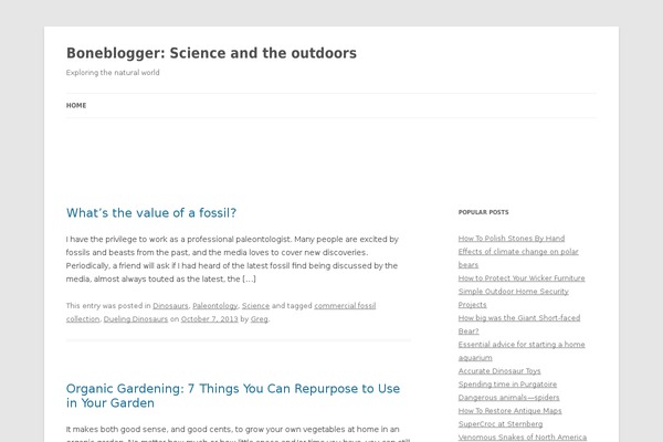 WordPress website example screenshot