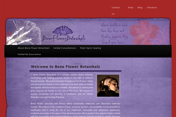 Site using Gravityforms plugin