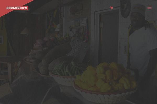 Site using Ays-popup-box plugin