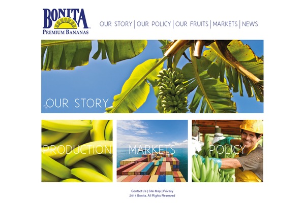 Bonita theme site design template sample