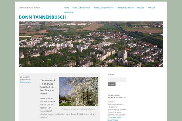 Site using Autoptimize plugin