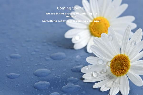 Site using Coming Soon Page & Maintenance Mode by SeedProd plugin