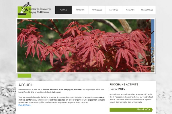 Bonsai theme site design template sample