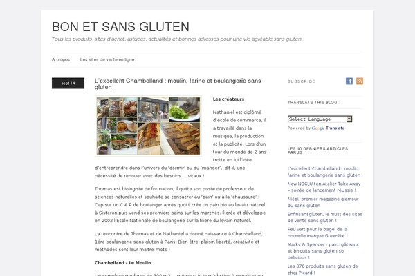 Linen theme site design template sample