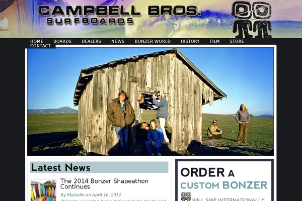 hybrid-custom theme websites examples